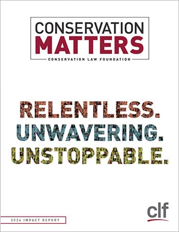 Cover of a newsletter that reads Conservation Matters at the top, with the words Relentless, Unwavering, Unstoppable centered in the middle against a white bakcground.